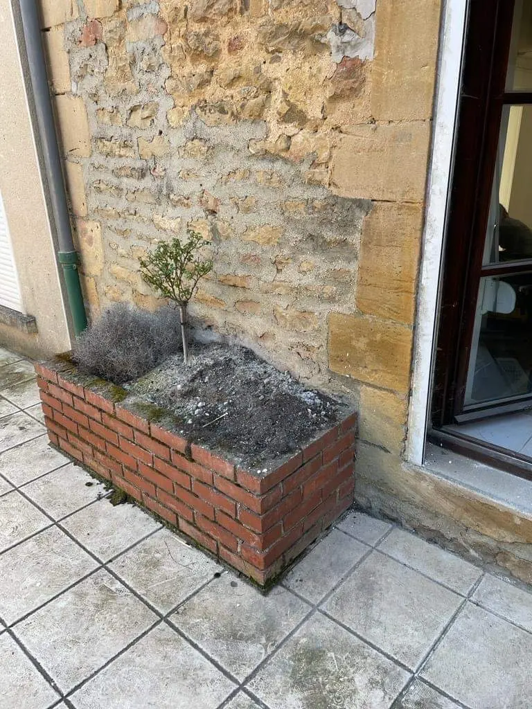 Jardinière en briques adossée à une façade en pierre