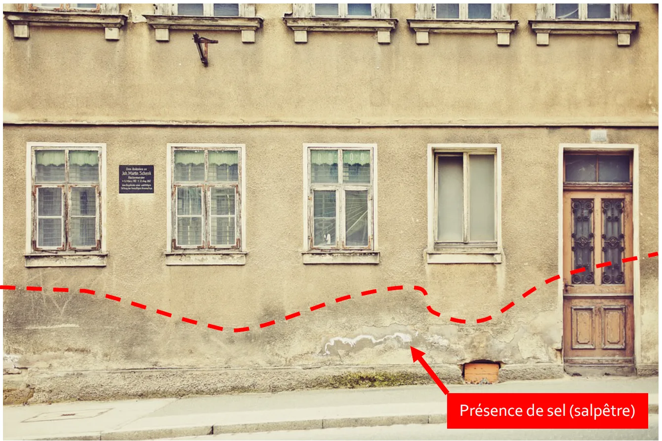 Remontée capillaire et salpêtre visibles en pied de façade