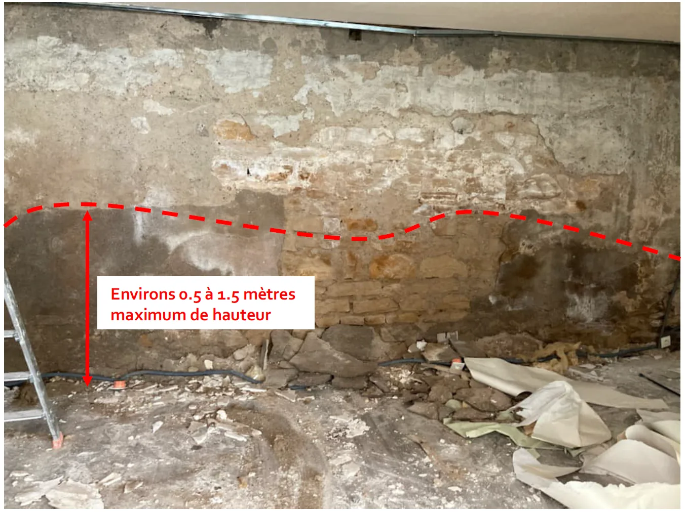 Remontée capillaire visible sur un mur intérieur après dépose du BA13