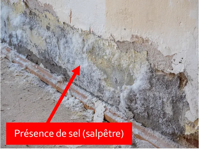 Salpêtre et dégradation d'un enduit intérieur en pied de mur