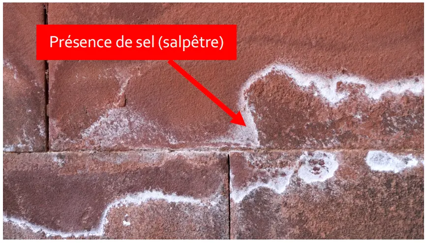 Dépôts de salpêtre sur des pierres