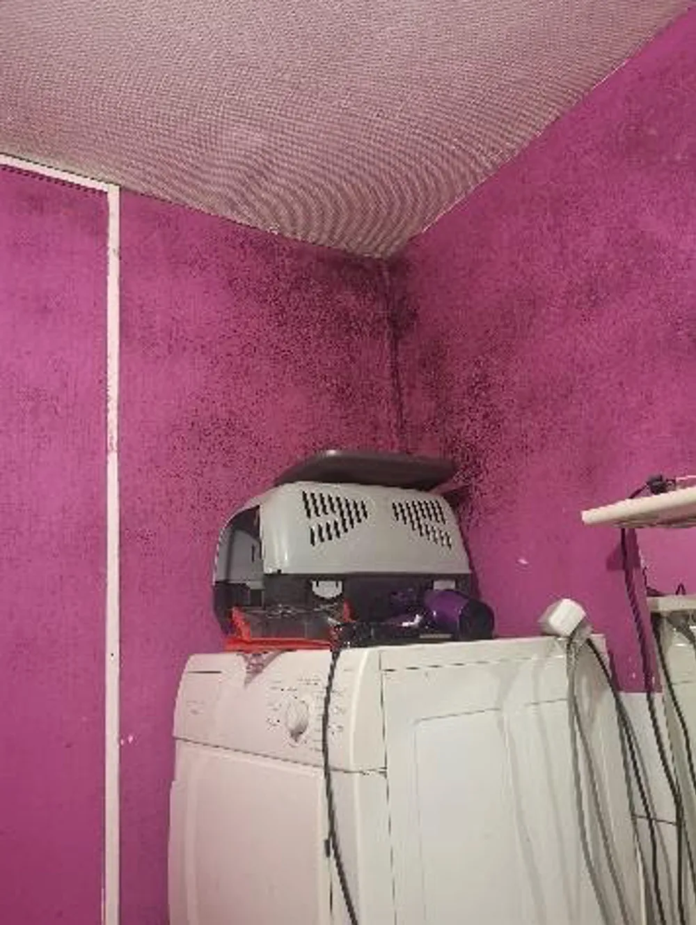 Moisissure dans l'angle d'une pièce humide