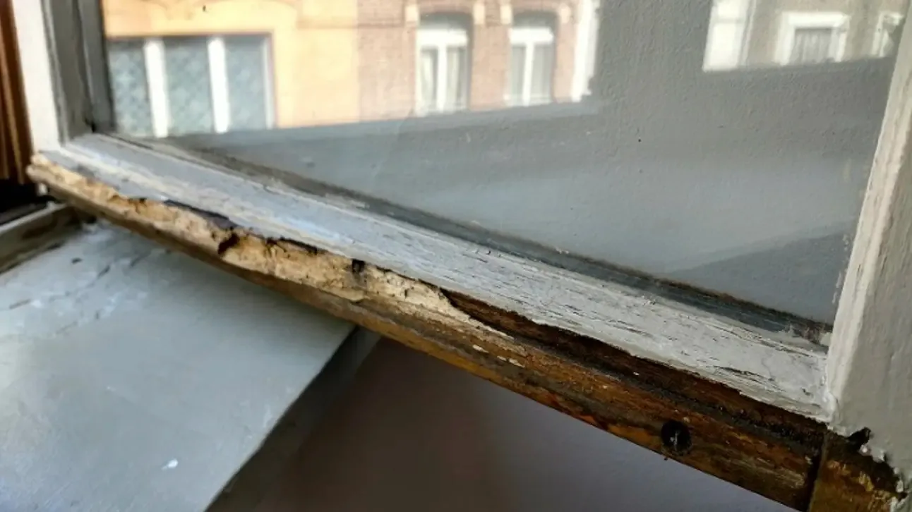 Fenêtre en bois détériorée par l'humidité