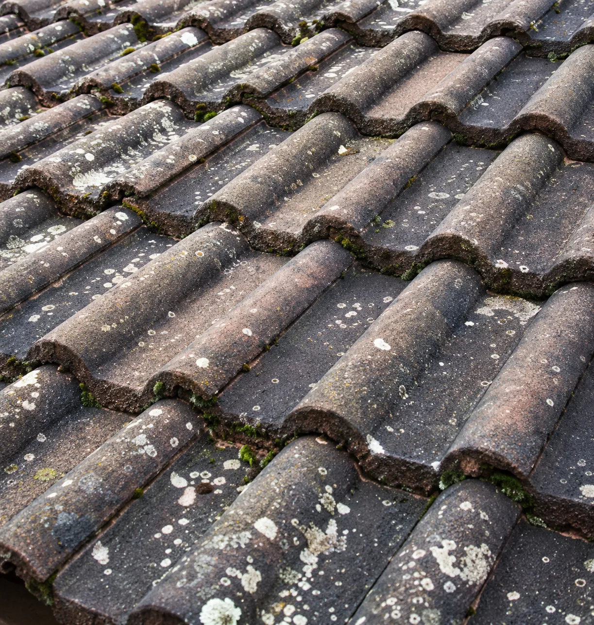 Tuiles en béton