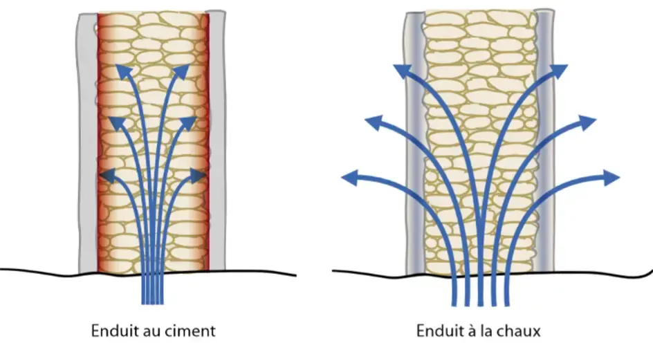 Comparaison de l'évacuation de l'humidité avec un enduit ciment et un enduit à la chaux