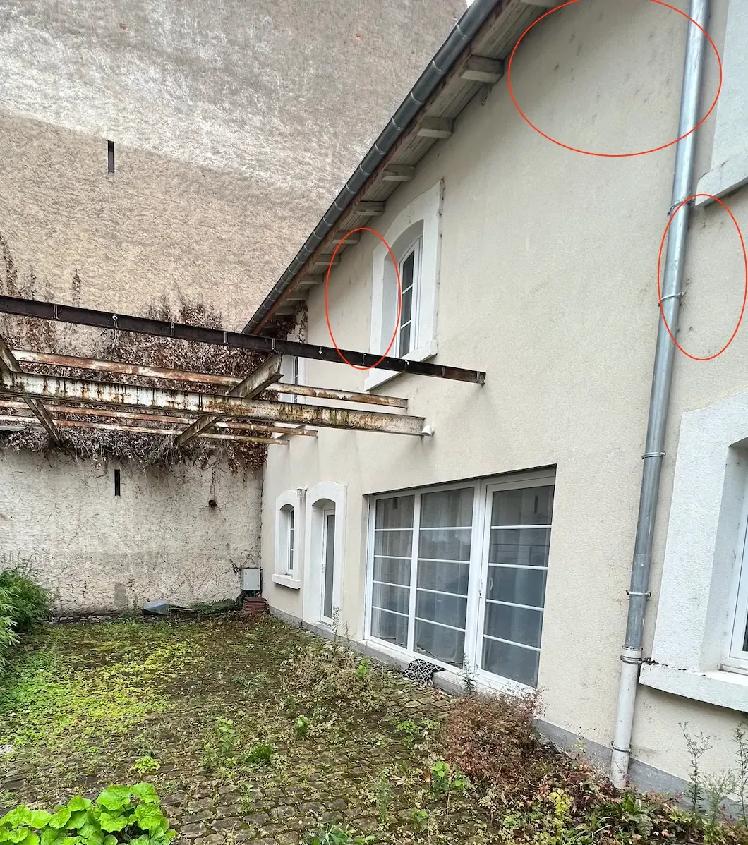 Traces de mousse entourées sur une façade en crépi minéral
