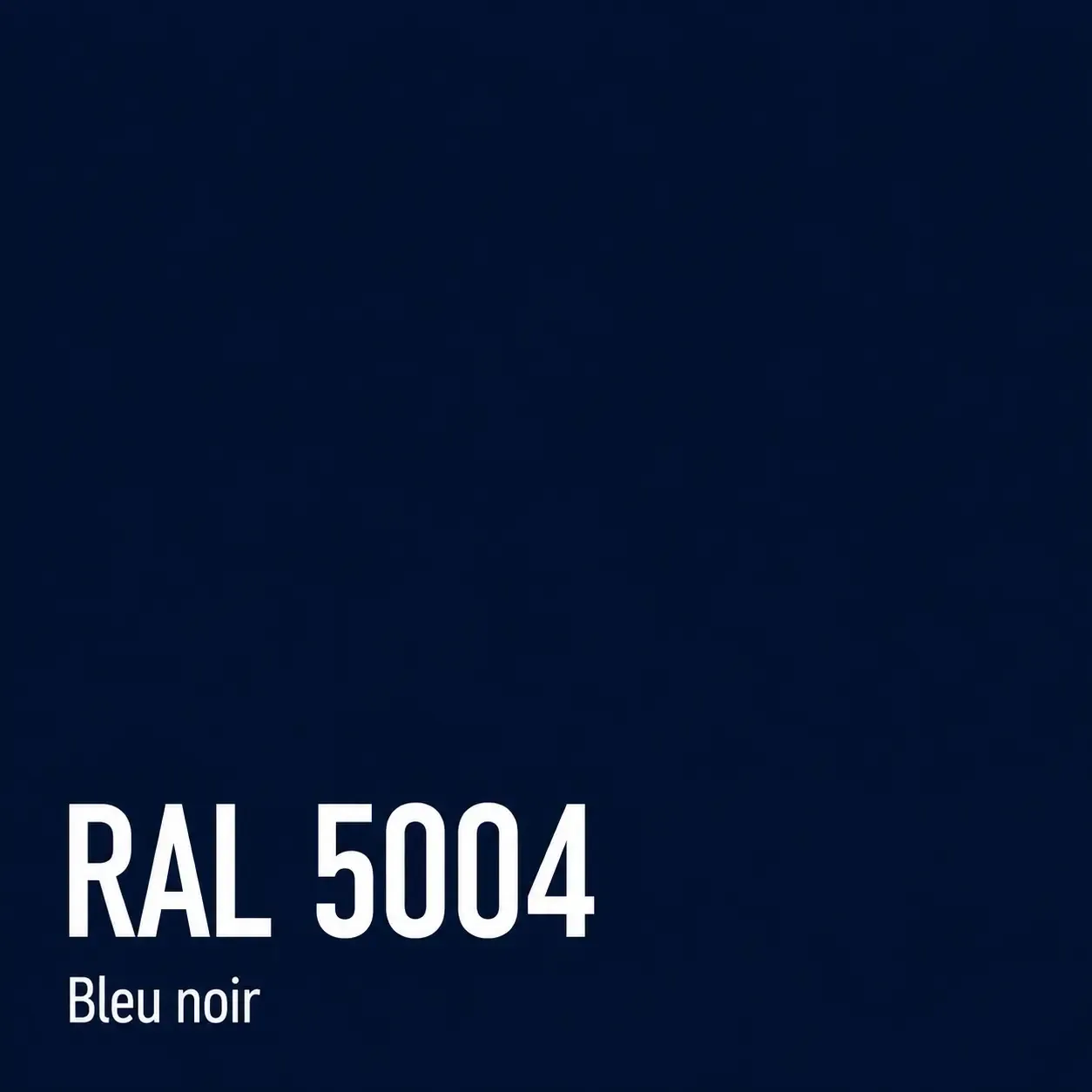Nuancier RAL 5004