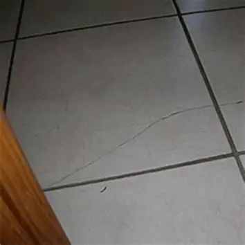 Exemple carrelage fissuré