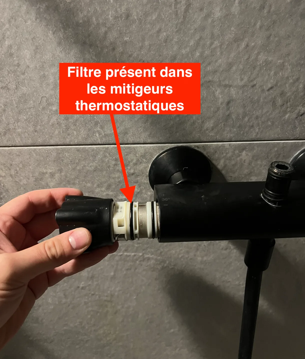 Filtre du mitigeur thermostatique